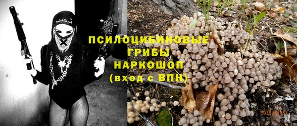 индика Абинск