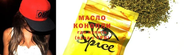 индика Абинск