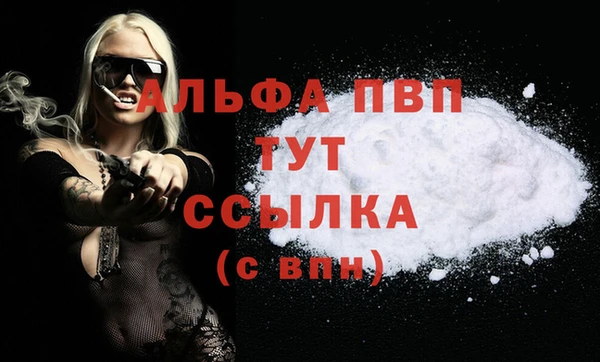 индика Абинск
