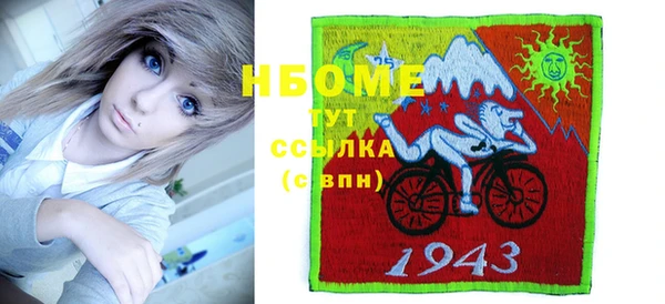 индика Абинск