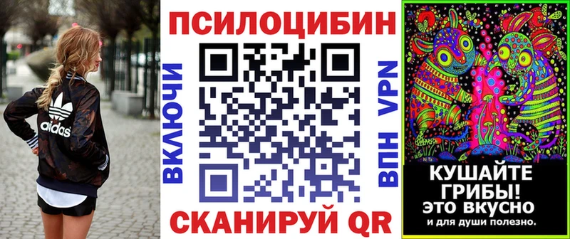 Галлюциногенные грибы прущие грибы  Краснодар 